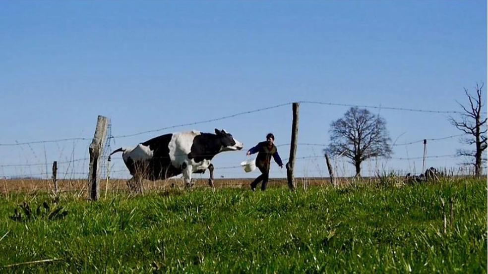 Les Vaches n’auront plus de nom © Douk Douk Productions
