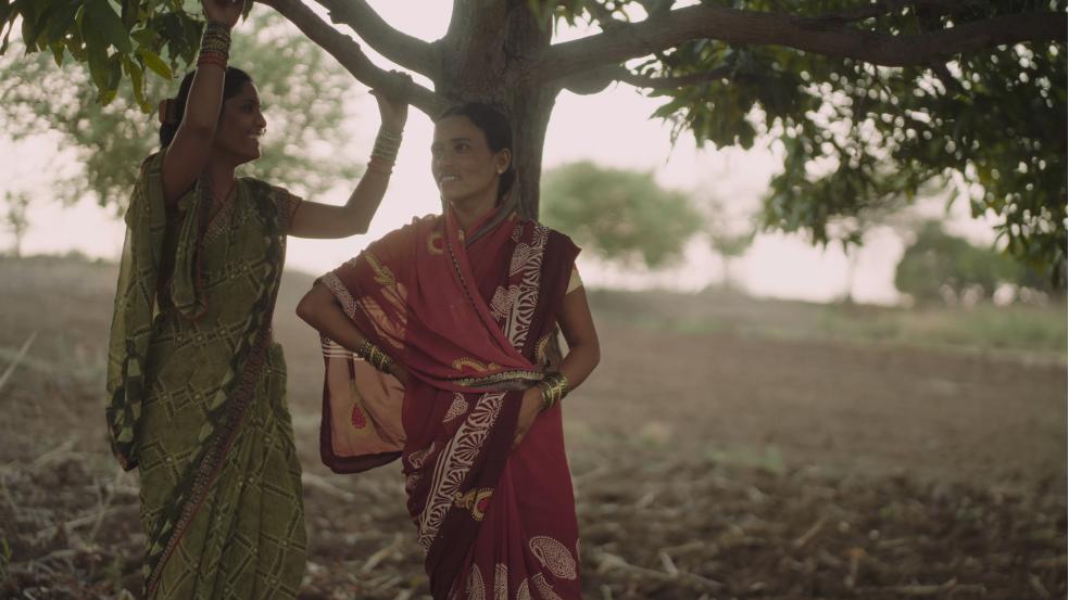 Marching In The Dark  - arbre © Clin d'Œil Films